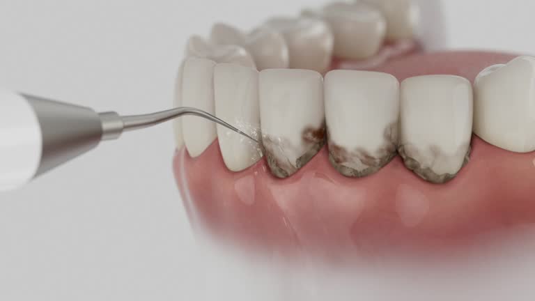 Reliable Dental contractor in Johnston, SC by Dentist Open Now